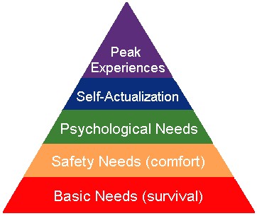 hierarchy of needs shape